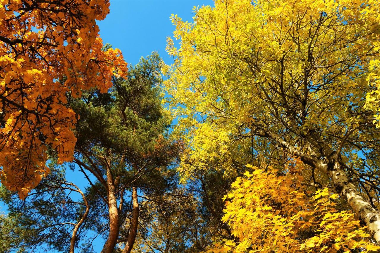 Parkhotel Flora Am Schluchsee Εξωτερικό φωτογραφία