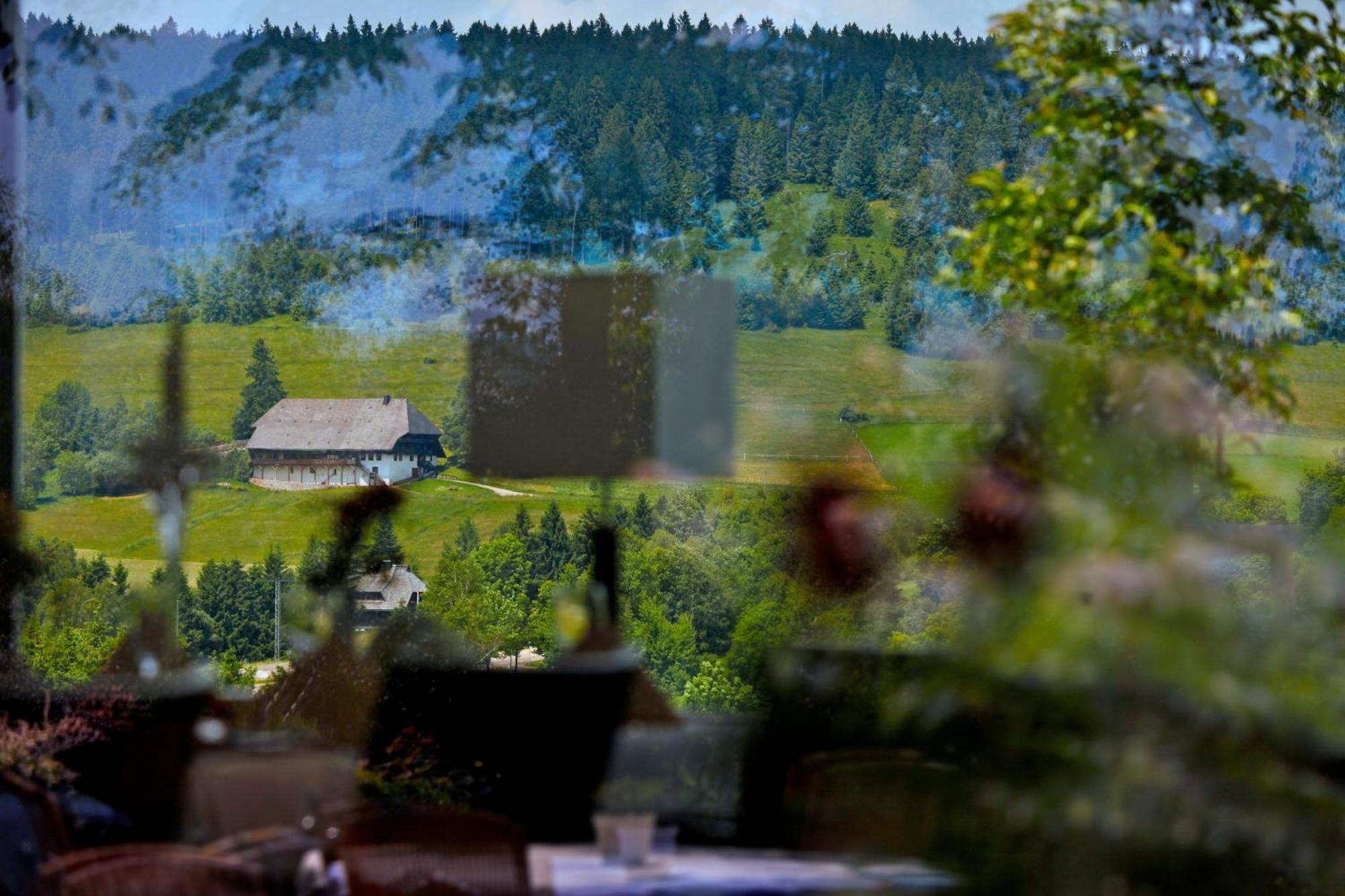 Parkhotel Flora Am Schluchsee Εξωτερικό φωτογραφία